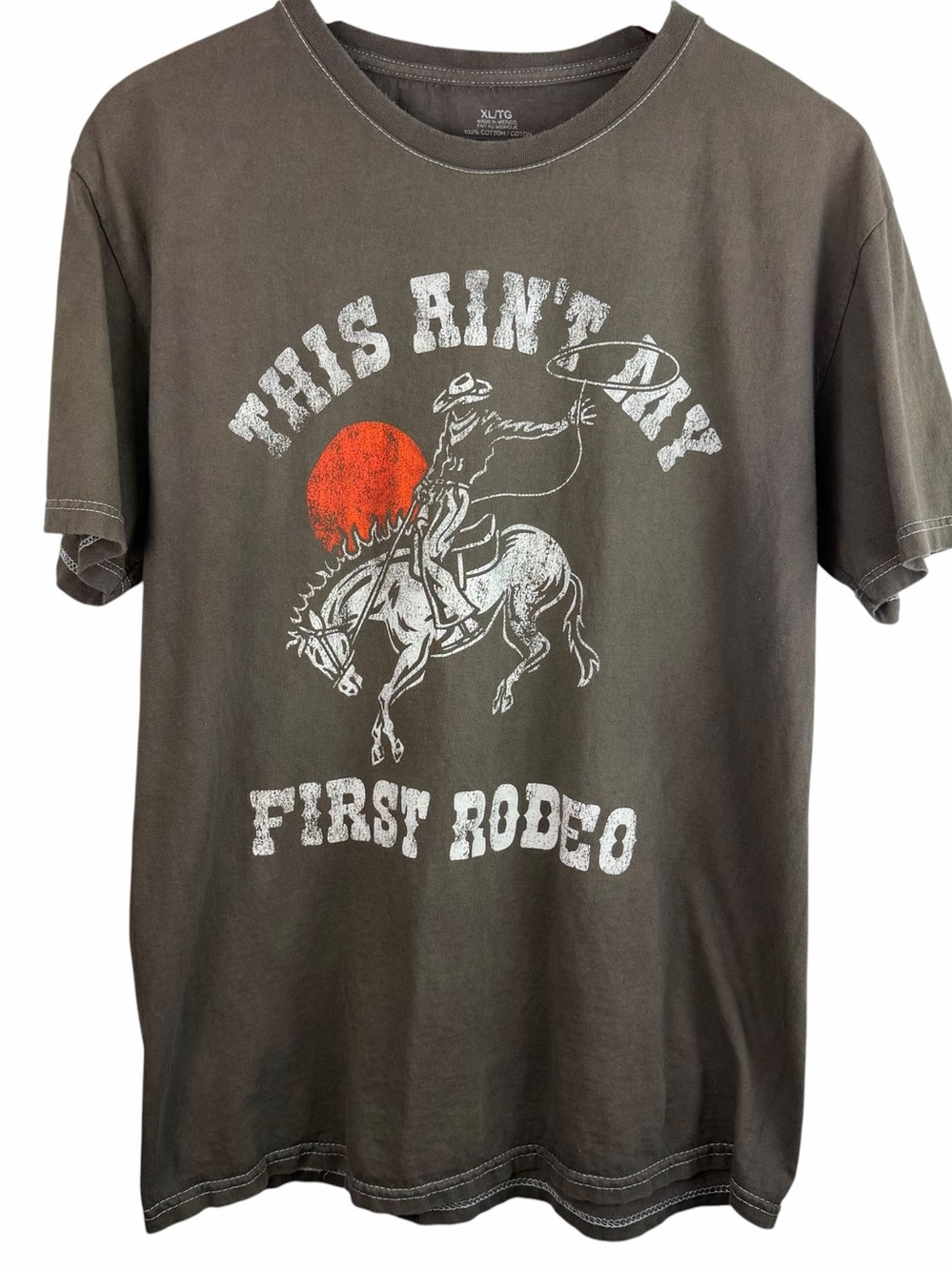 This Ain’t My First Rodeo Brown Horse Ruder Graphic Tee Shirt